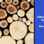 porous wood and non porous wood