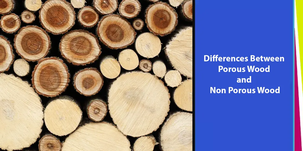 porous wood and non porous wood
