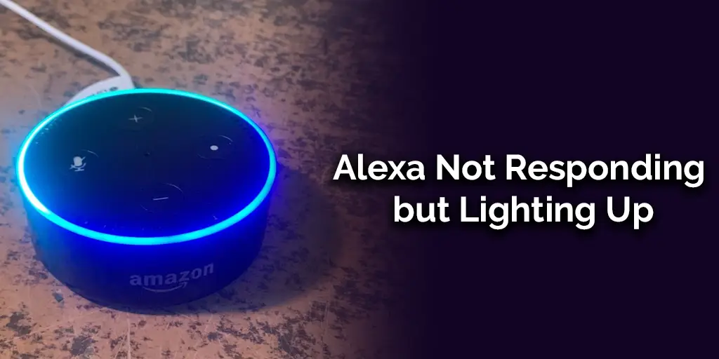 Alexa Not Responding but Lighting Up