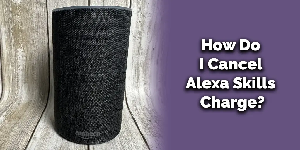 How Do I Cancel Alexa Skills Charge