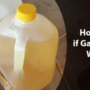 how to tell if gas is mixed with oil