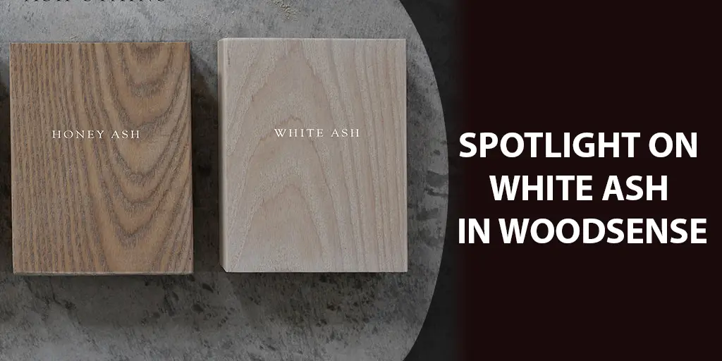 woodsense spotlight on white ash