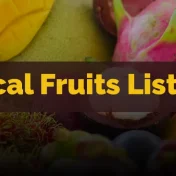 Tropical Fruits List