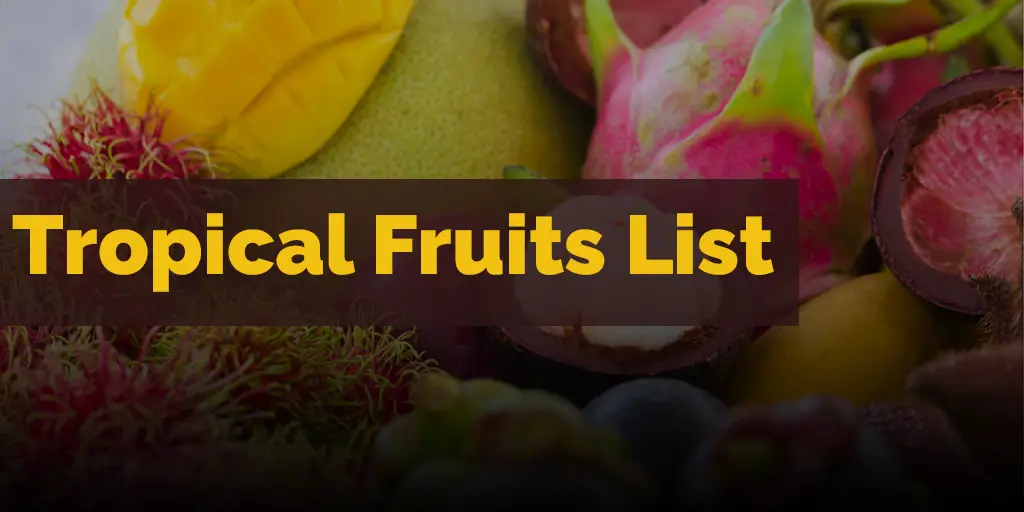 Tropical Fruits List